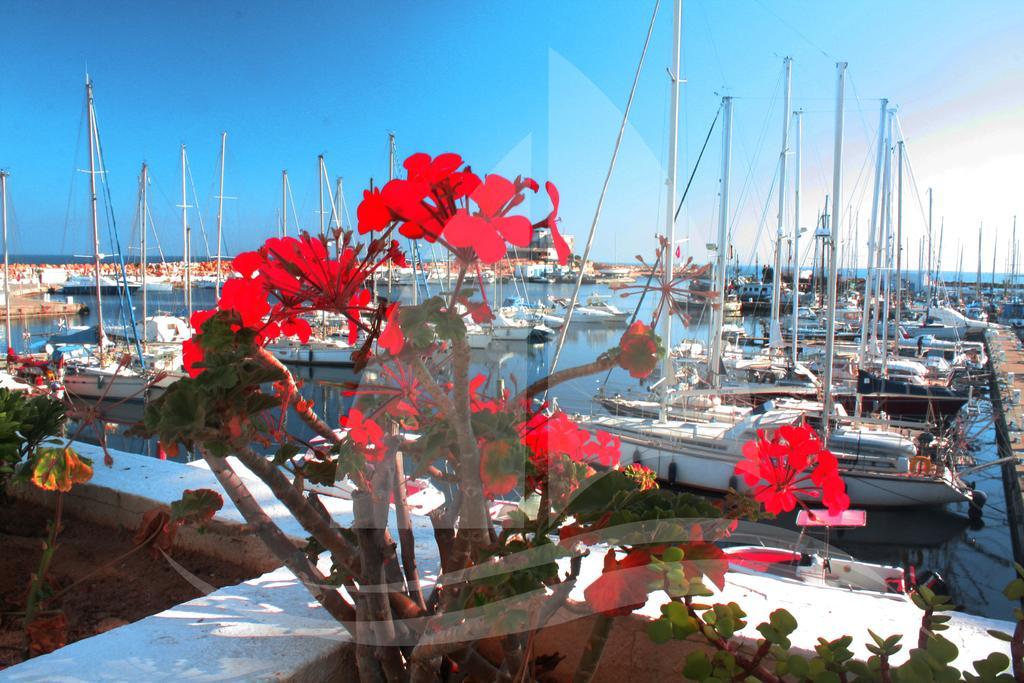 Marina Cap Monastir- Appart'Hotel Екстер'єр фото